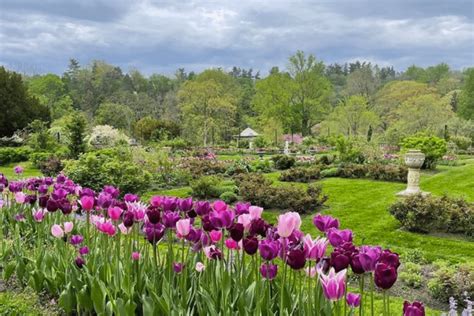 7 Blooming Arboretums And Botanical Gardens To Visit In Philly - Secret Philadelphia