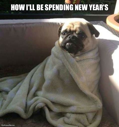 Super Funny New Year's Eve Memes That Will Have You Chuckling