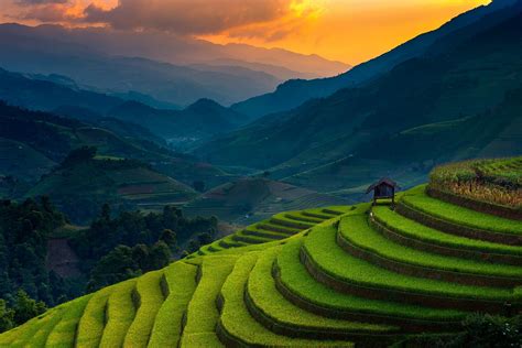 landscape, Nature, Rice Paddy, Terraces, Mountain, Sunset, Field, Trees ...