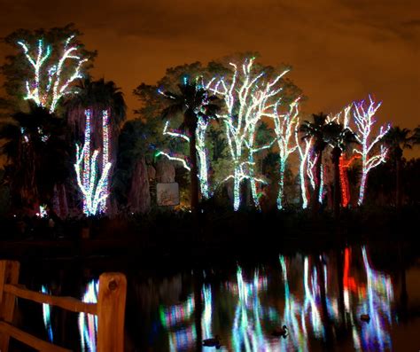 Zoo Lights 1 | Phoenix Zoo Lights 2009 | Kenneth Hagemeyer | Flickr