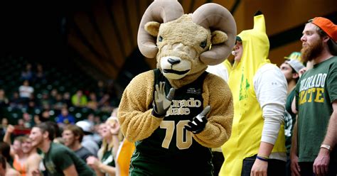 Quiz: Which CSU mascot are you?