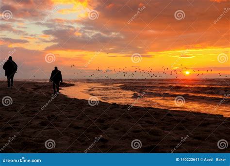 A Beautiful Sunset at the Gaza Beach Editorial Photo - Image of beauty, beach: 140223641