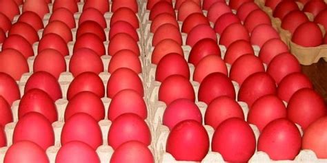 Pinoy - Negosyo - Techs: How to make Salted (Red) Eggs