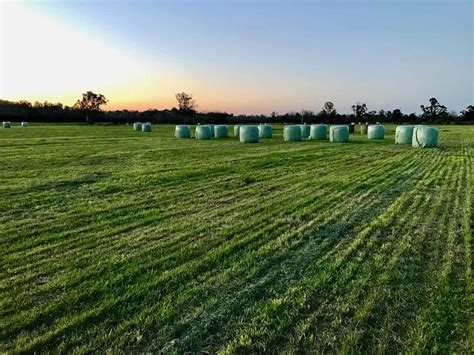 Notes on Harvesting Forage for Silage