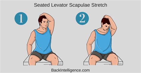 Levator Scapulae Exercises