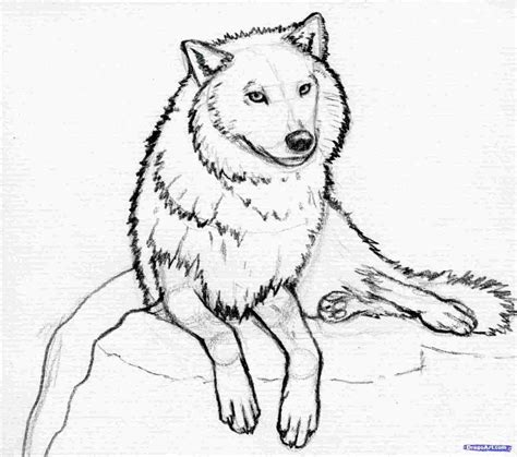 Simple Wolf Drawing at PaintingValley.com | Explore collection of Simple Wolf Drawing