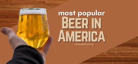 15 Most Popular Beers in America: Listed & Ranked (2024)