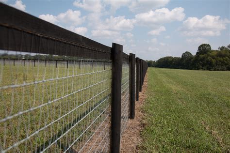 Mesh horse fence ramm horse fencing – Artofit