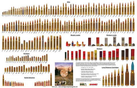 Ammunition types and size comparisons : r/coolguides