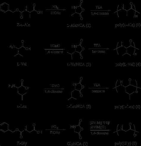 Scheme 1. Synthesis of poly(amino acid)s. | Download Scientific Diagram