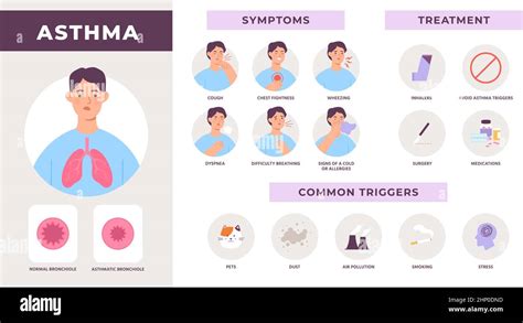 Asthma disease infographic with symptoms, treatment and common triggers ...