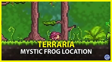 How To Catch Mystic Frog In Terraria - Gamer Tweak