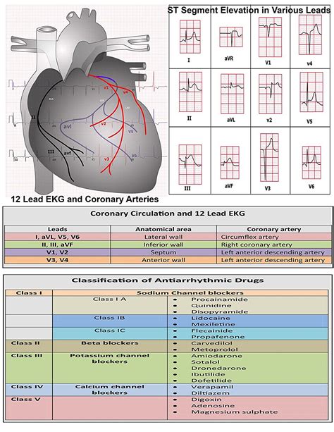 EKG Pocket Card | Emergency nursing, Nursing school survival, Medical school essentials