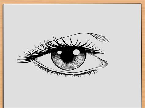 How to Draw Realistic Human Eyes: 7 Steps (with Pictures)