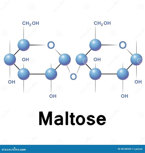 Maltose Stock Vector - Image: 40168342