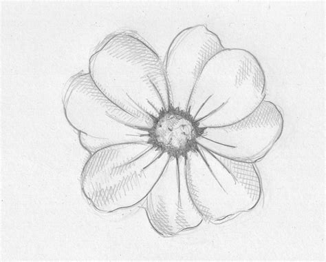 Pencil Drawing Images Flowers at GetDrawings | Free download