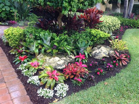 Tropical bromeliad garden design Tropical Backyard Landscaping, Florida ...