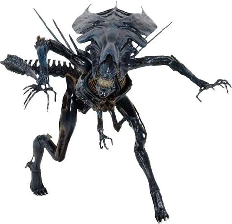 NECA Aliens Xenomorph Queen 15 Ultra Deluxe Action Figure - ToyWiz