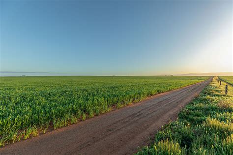 172 Rural & Farming Properties Sold in Pimbaacla, SA 5661