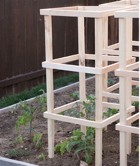 DIY Wooden Tomato Cages