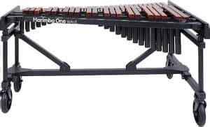 Top 11 Best Xylophone Brands On The Market 2024