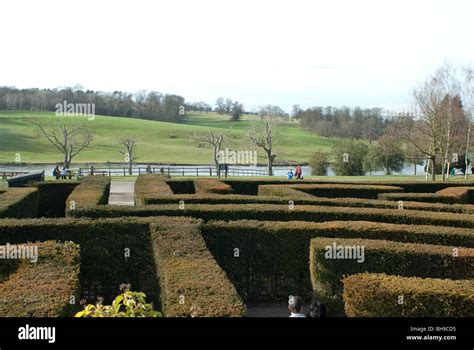 The Maze at Leeds Castle Stock Photo - Alamy