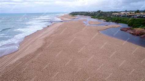 Premium Photo | Aerial view of imbassai beach, bahia, brazil. beautiful ...