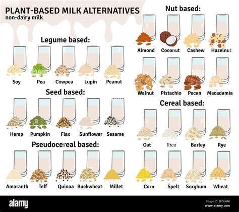 Set of glasses with plant-based milk. Vegan milk types infographic. Almond, soy, rice, coconut ...