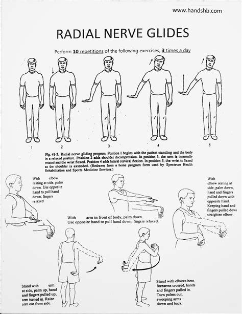 Radial Nerve: Radial Nerve Gliding Exercises Handout