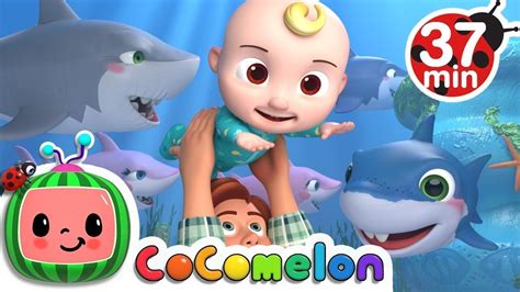 Cocomelon Kids Song Baby Shark