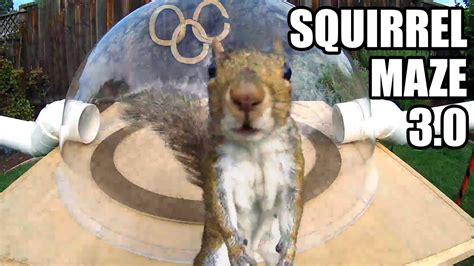 Former NASA Engineer Mark Rober Turned His Backyard Into The Ultimate Squirrel Obstacle Course ...