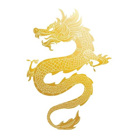 Premium Vector | Golden dragon fliying with two hands