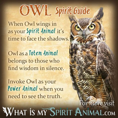 Owl Symbolism & Meaning | Spirit, Totem, & Power Animal