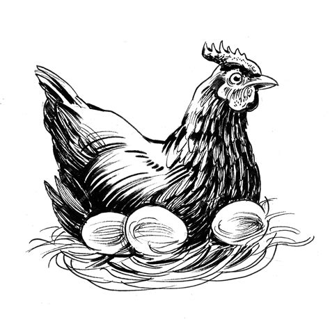 Premium Photo | Hen in nest with eggs. Ink black and white drawing