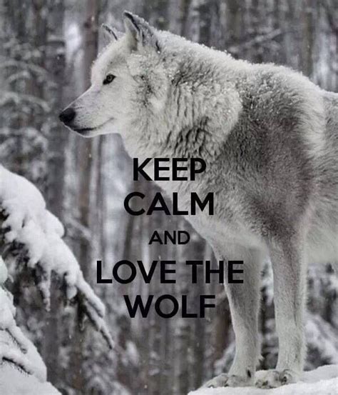 133 best Wolf Therian images on Pinterest | Wolves, Wolf spirit and Anime wolf drawing