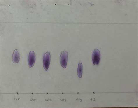 Solved Lab Report: Paper Chromatography of Amino Acids Part | Chegg.com