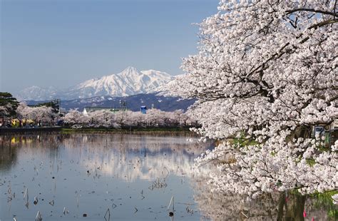 Forget Tokyo, Niigata Is The Next Top Japan Travel Destination!