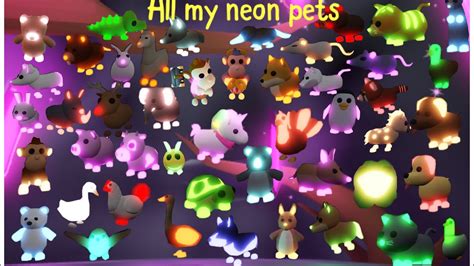 ALL MY NEON PETS In Adopt Me ! My Inventory In Adopt me/Roblox - YouTube