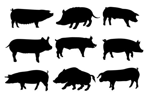 Black Pig Animal Vector Silhouette Graphic by Magic Vector · Creative Fabrica