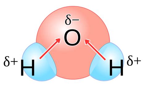 What is a Polar Covalent Bond? | ChemTalk