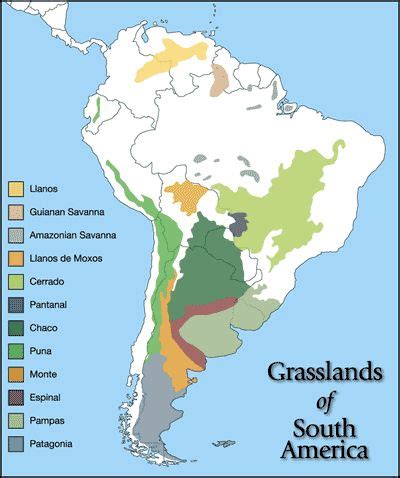 1000+ images about Geography - Latin America - Pampas on Pinterest | Persnickety clothing ...