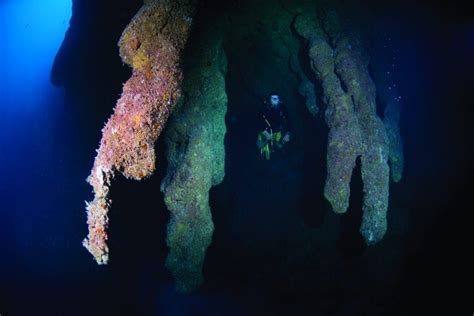 Belize's Grand Wonder: The Great Blue Hole | Sightseeing Belize