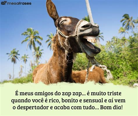 Whatsapp Frases Engra adas De Bom Dia Algumas pessoas t m costume de ...