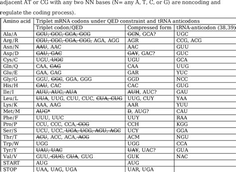 Amino acids, triplet mRNA codons and tRNA anticodons with the 4th QED... | Download Scientific ...