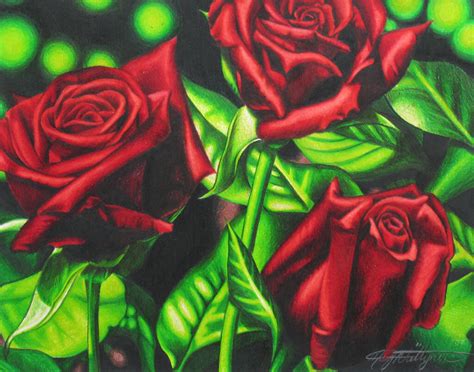 Coloured Pencil Drawings Of Roses - pencildrawing2019