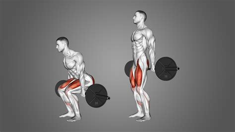 Barbell Hack Squat: 4 Major Benefits and Muscles Worked - Inspire US