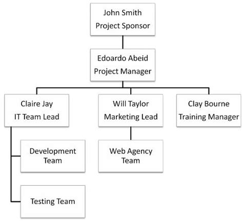 Project Management Organizational Structure: Types and Explanation