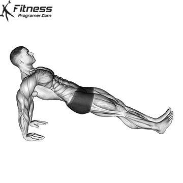 How To Do Reverse Plank - Benefits, Muscles Worked