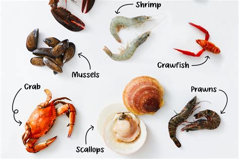 The 9 Most Popular Types of Shellfish | The Kitchn