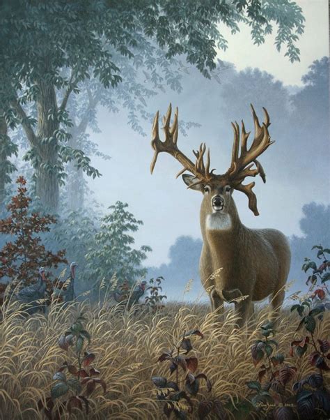 Foggy Morning Whitetail - The Lovstuen Buck | Deer photography, Deer ...